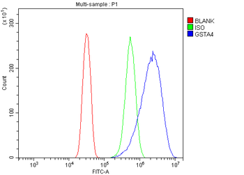 Anti-GSTA4 Antibody