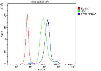 Anti-IL23 Receptor/IL23R Antibody