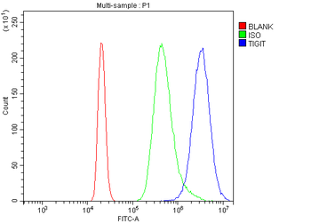 Anti-Tigit Antibody