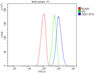 Anti-Liver Carboxylesterase 1/CES1 Antibody (monoclonal, 3F10)