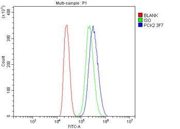Anti-PCK2 Antibody (monoclonal, 3F7)