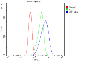 Anti-eRF1/ETF1 Antibody (monoclonal, 3E5)