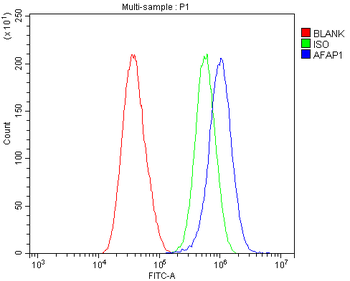 Anti-AFAP/AFAP1 Antibody