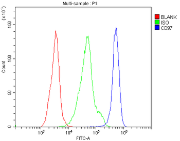 Anti-CD97/Adgre5 Antibody