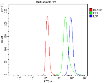 Anti-IL37 Antibody
