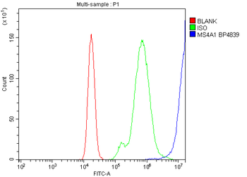 Anti-CD20/MS4A1 Antibody
