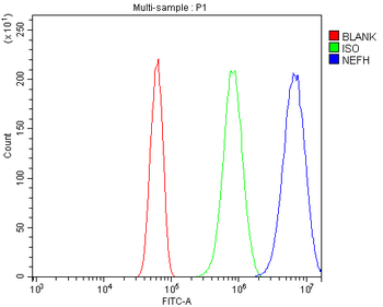 Anti-Nefh Antibody