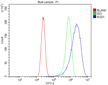 Anti-CARD4/NOD1 Antibody