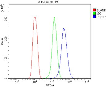 Anti-Presenilin 2/AD5/PSEN2 Antibody