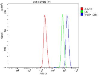 Anti-PARP/PARP1 Antibody (monoclonal, 10E11)