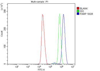 Anti-PARP/PARP1 Antibody (monoclonal, 10G9)