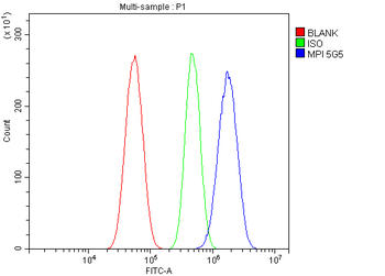 Anti-MPI Antibody (monoclonal, 5G5)