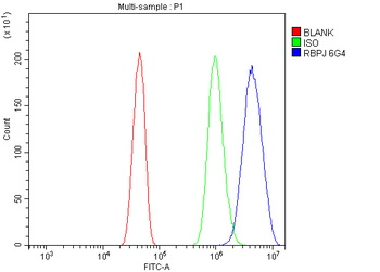 Anti-RBPJK/RBPJ Antibody (monoclonal, 6G4)