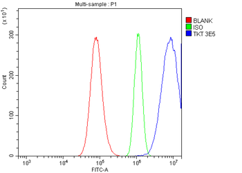 Anti-Transketolase/TKT Antibody (monoclonal, 3E5)