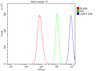 Anti-U2AF65/U2AF2 Antibody (monoclonal, 3G9)