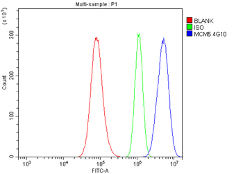 Anti-MCM5 Antibody (monoclonal, 4G10)