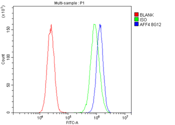 Anti-AFF4 Antibody (monoclonal, 8G12)