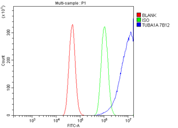 Anti-Tubulin alpha Antibody (monoclonal, 7B12)