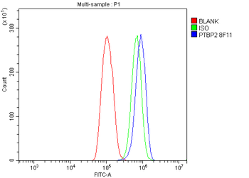 Anti-PTBP2 Antibody (monoclonal, 8F11)