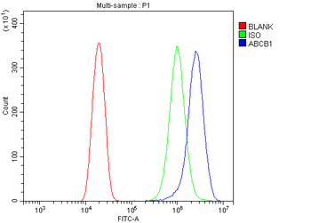 Anti-P Glycoprotein/ABCB1 Antibody