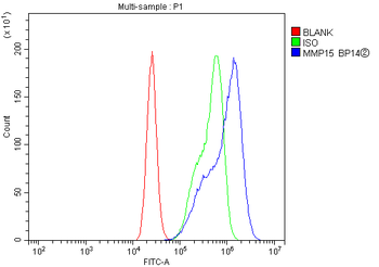 Anti-MT2-MMP/MMP15 Antibody