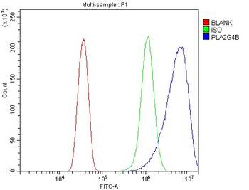 Anti-cPLA2 beta/PLA2G4B Antibody