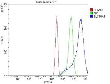 Anti-SLC10A1/NTCP1 Antibody