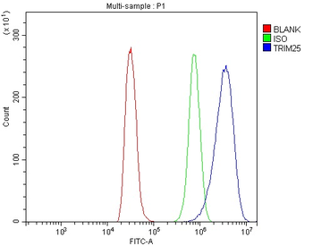 Anti-TRIM25/EFP Antibody