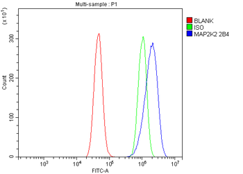Anti-MEK2/MAP2K2 Antibody (monoclonal, 2B4)