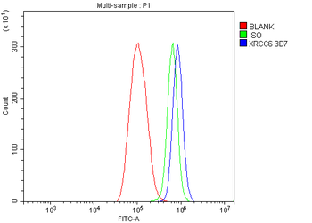 Anti-Ku70 Antibody (monoclonal, 3D7)