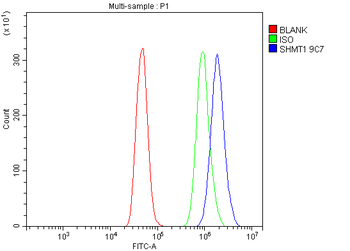 Anti-SHMT1 Antibody (monoclonal, 9C7)