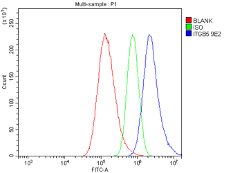 Anti-Integrin beta 5/ITGB5 Antibody (monoclonal, 9E2)