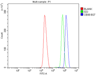 Anti-Cbx8 Antibody (monoclonal, 8G7)