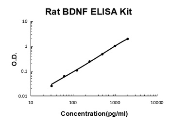 Rat BDNF ELISA Kit
