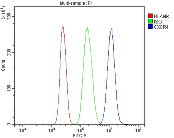 Anti-CXCR4 Antibody