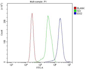 Anti-IDO-2/IDO2 Antibody