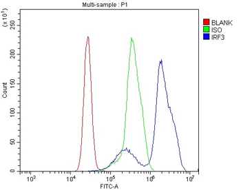 Anti-IRF3 Antibody