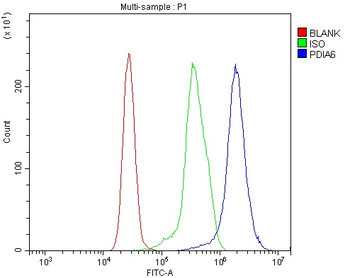 Anti-PDIA6 Antibody