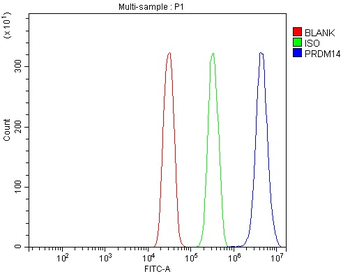 Anti-PRDM14 Antibody