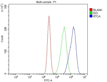 Anti-RTCD1/RTCA Antibody