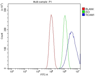 Anti-TRIF/TICAM1 Antibody