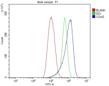 Anti-CGAS Antibody