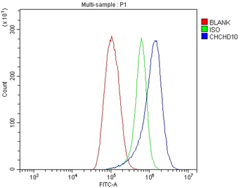 Anti-CHCHD10 Antibody