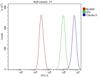 Anti-Claudin 3/CLDN3 Antibody
