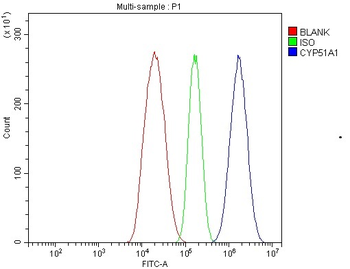 Anti-CYP51A1/CYP51 Antibody