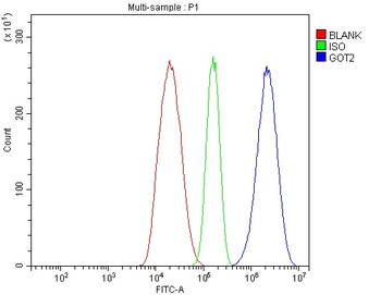 Anti-FABP-1/GOT2 Antibody