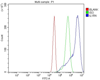 Anti-IL1RA/Il1rn Antibody