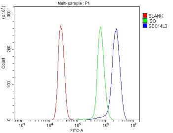 Anti-SEC14L3/TAP2 Antibody