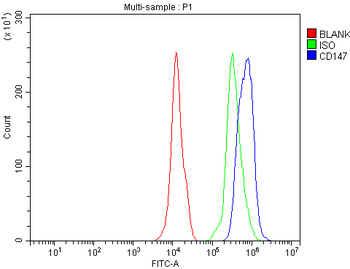 Anti-CD147/Bsg Antibody
