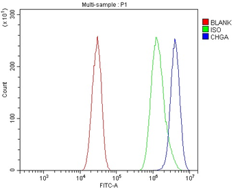 Anti-Chromogranin A/Chga Antibody